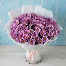 Букет цветов из:  Хризантемы в Новохоперске