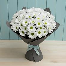 Букет цветов из:  Хризантемы #REPLACE_PRED# Новохоперске