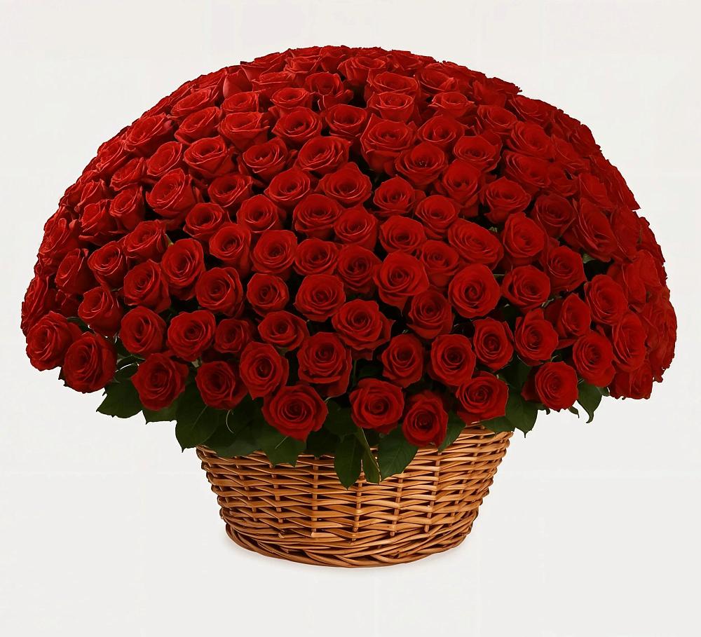 Премиум букет из: Розы в Новохоперске