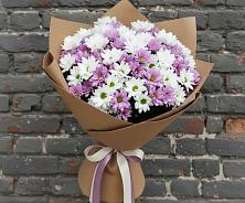 Букет цветов из:  Хризантемы в Новохоперске