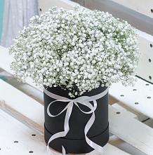 Цветочная композиция из Гипсофила в шляпной коробке #REPLACE_PRED# Новохоперске