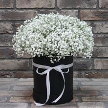 Цветочная композиция из Гипсофила в шляпной коробке в Новохоперске