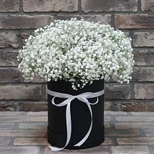 Цветочная композиция из Гипсофила в шляпной коробке в Новохоперске