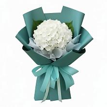 Букет цветов из:  Гортензия в Новохоперске